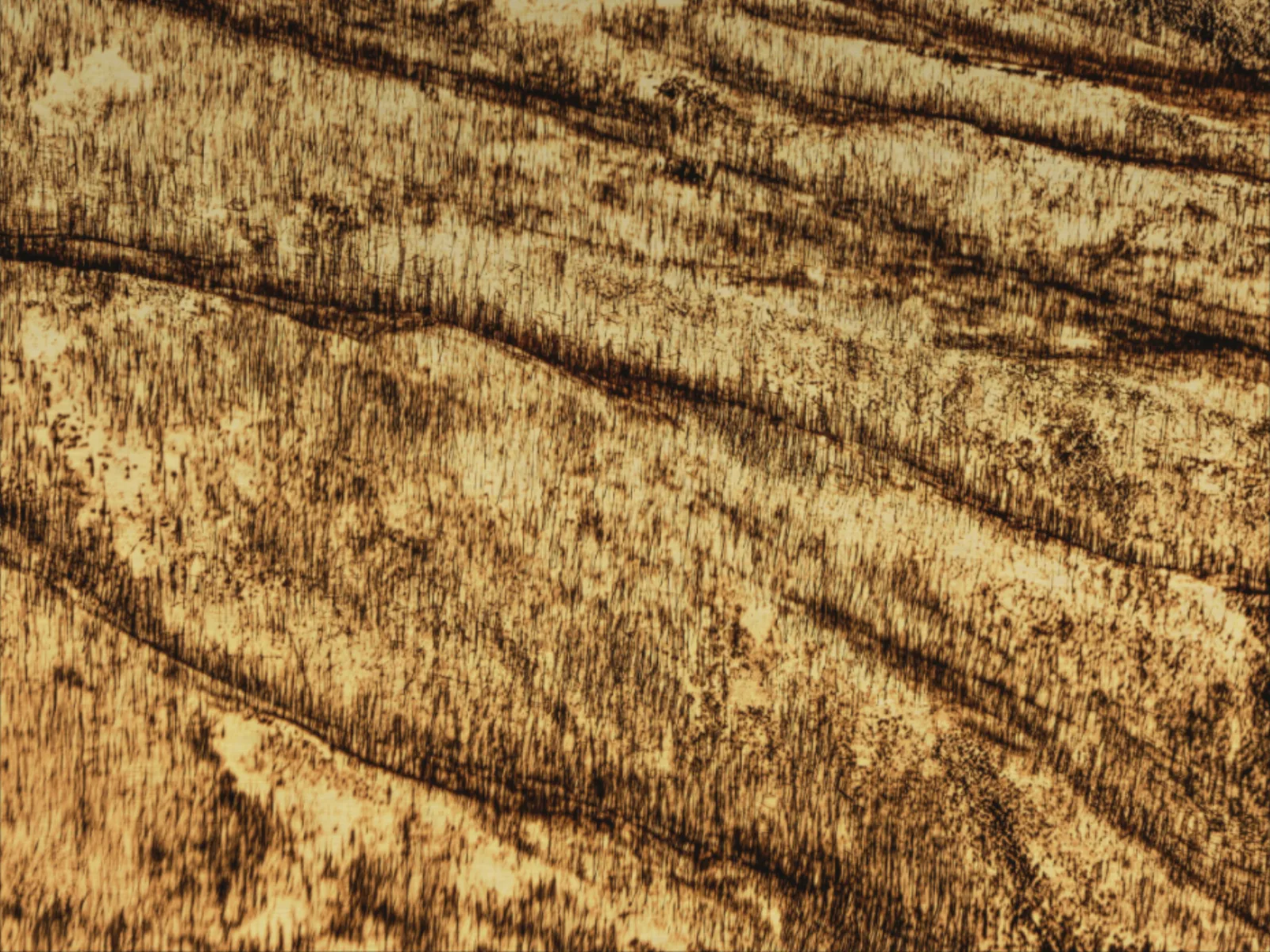 Elements 3.0.1EG by Chadwick, gold finish
